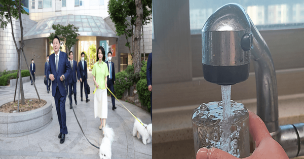 온라인 커뮤니티