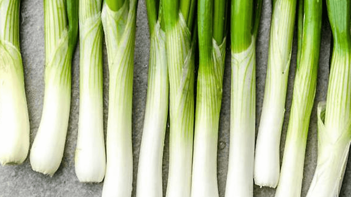 사진=기사 이해를 돕기 위한 AI 이미지입니다